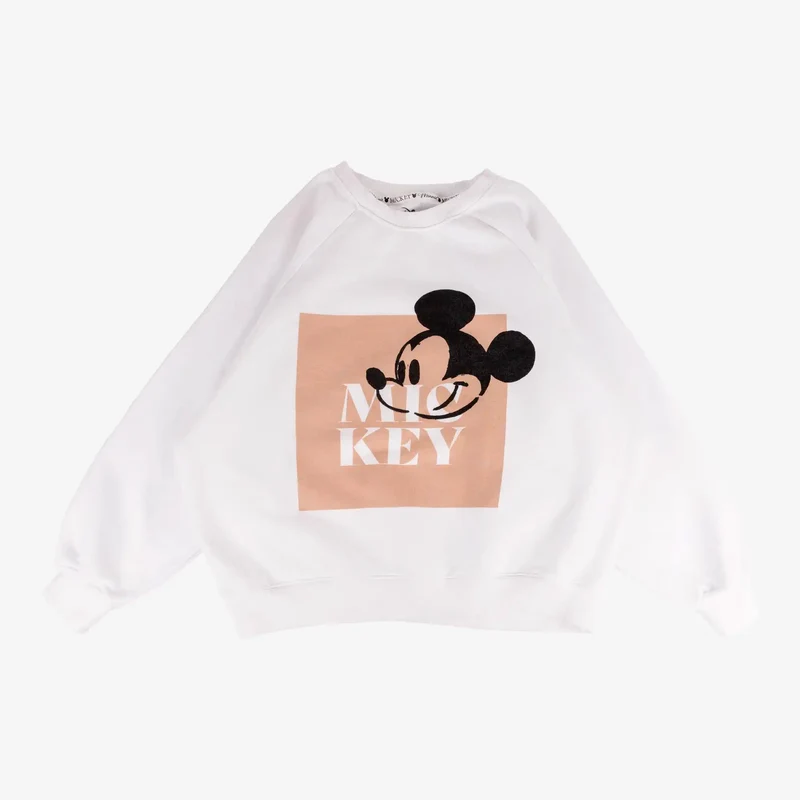 Box de 20 sweat-shirts Disney
