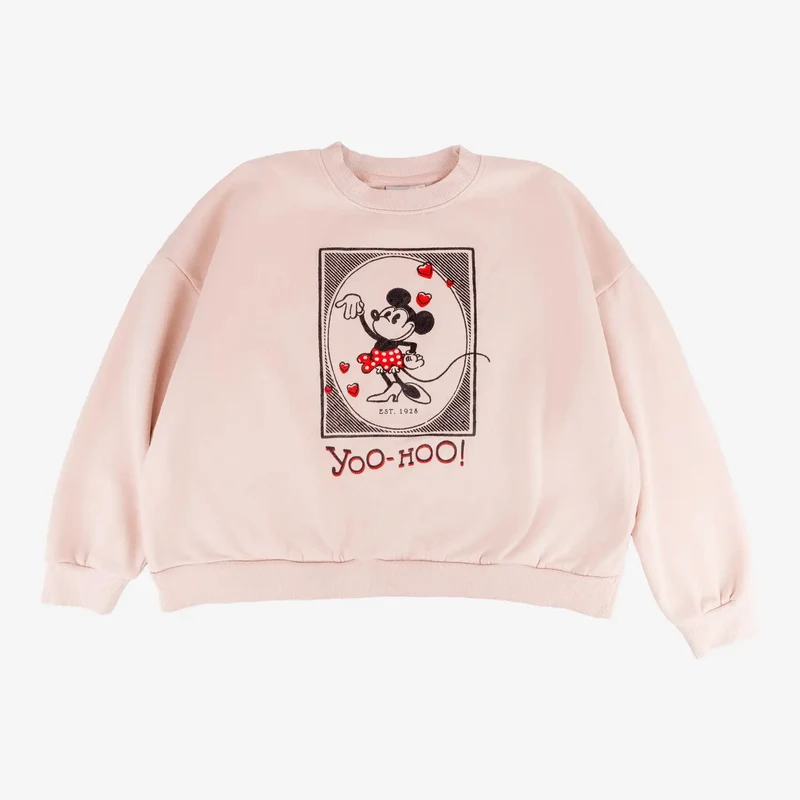 Box de 20 sweat-shirts Disney