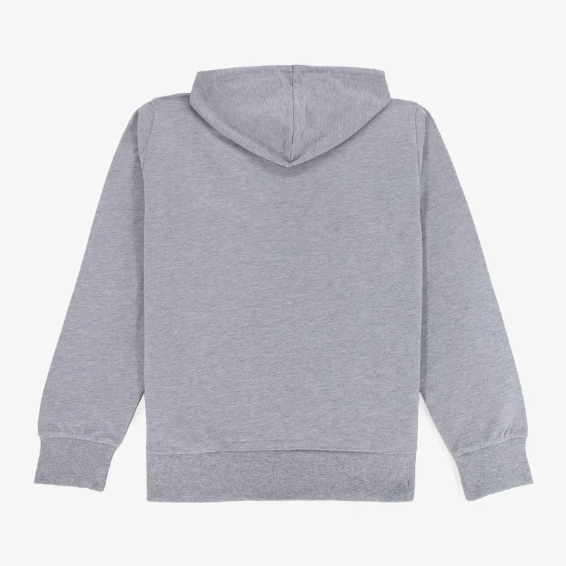 Sweat zippé à capuche Sidney en coton gris