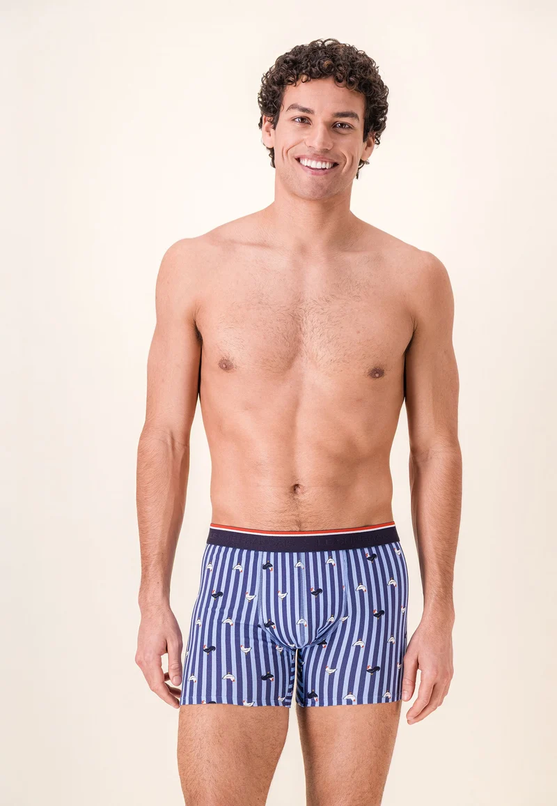 Boxer long à motif rayure coq bleu acier en coton - Michel Rayure Coq Bleu Acier