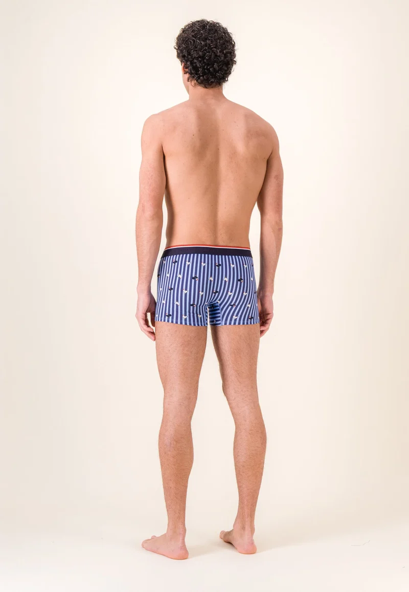 Boxer à motif rayure coq bleu acier en coton - Marius Rayure Coq Bleu Acier