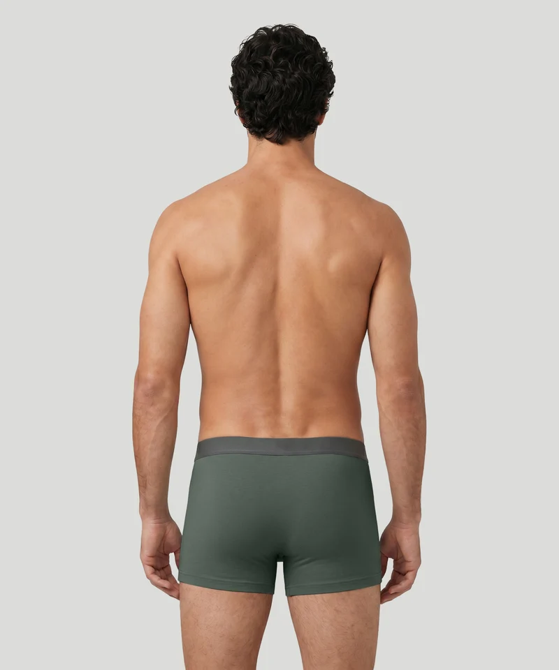 RON DORFF Boxer Briefs: Balsam Green