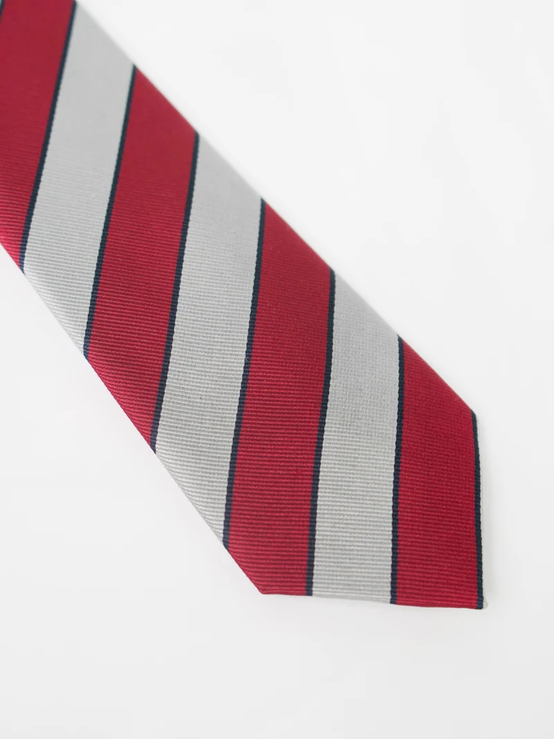 Striped Silk Tie