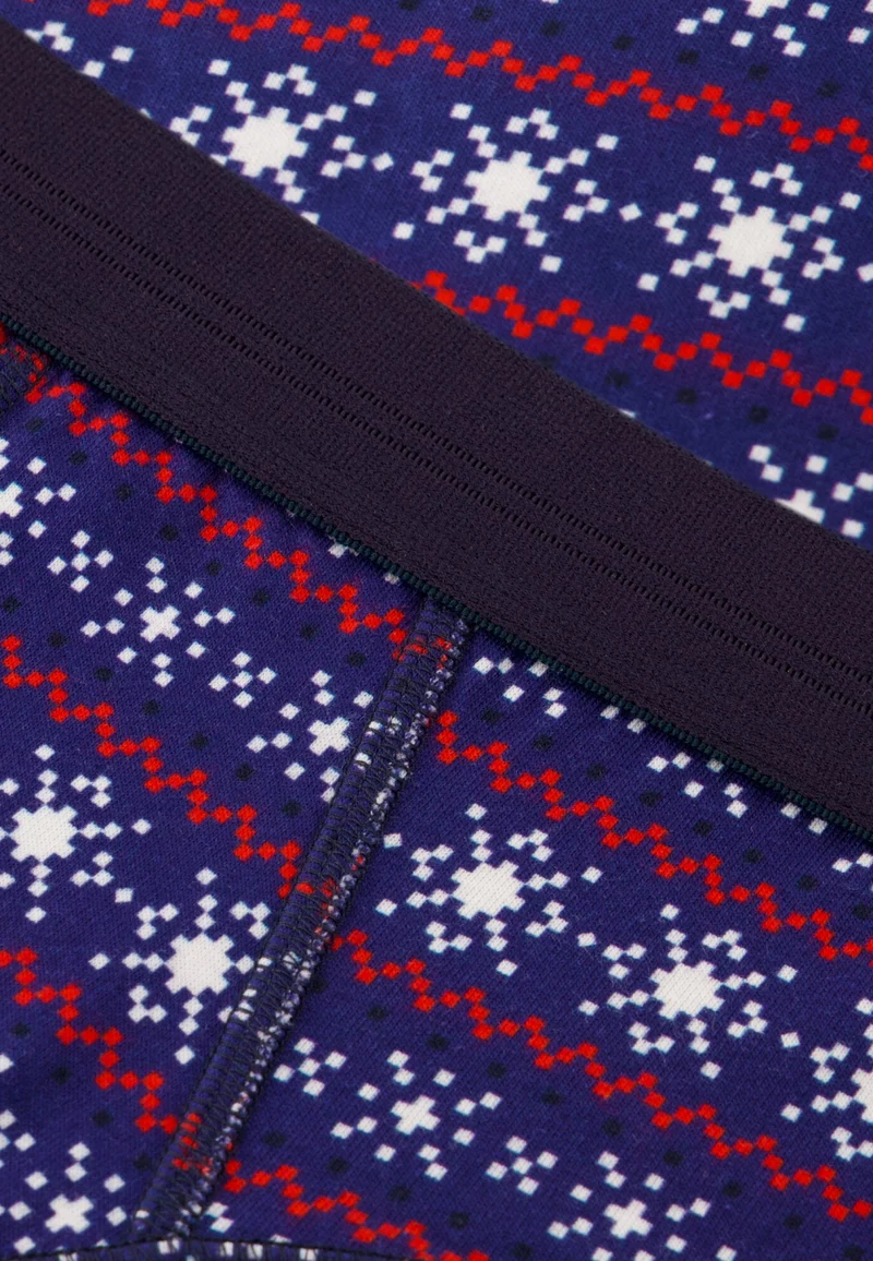 Slip en coton - Terrible Flocon