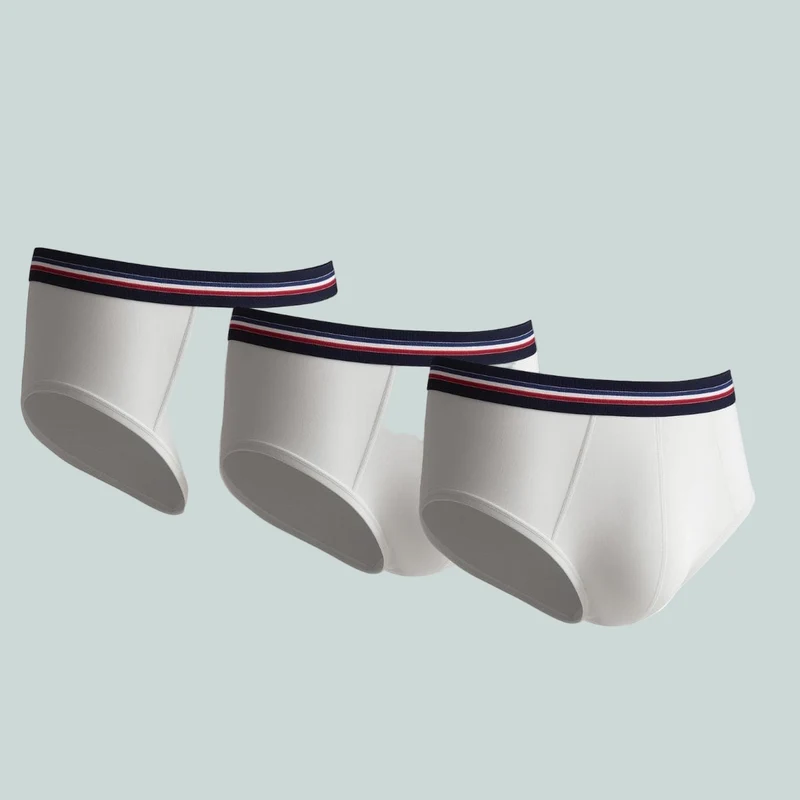 Lot de 3 slips blanc