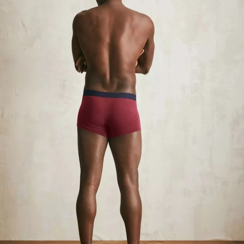 Boxer français grenat
