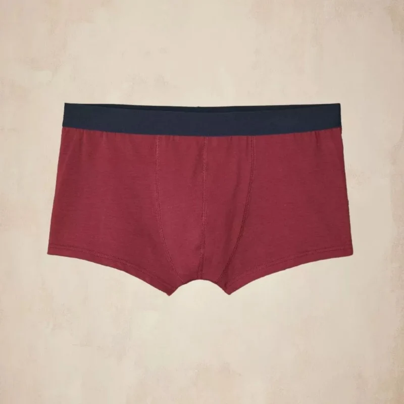 Boxer français grenat