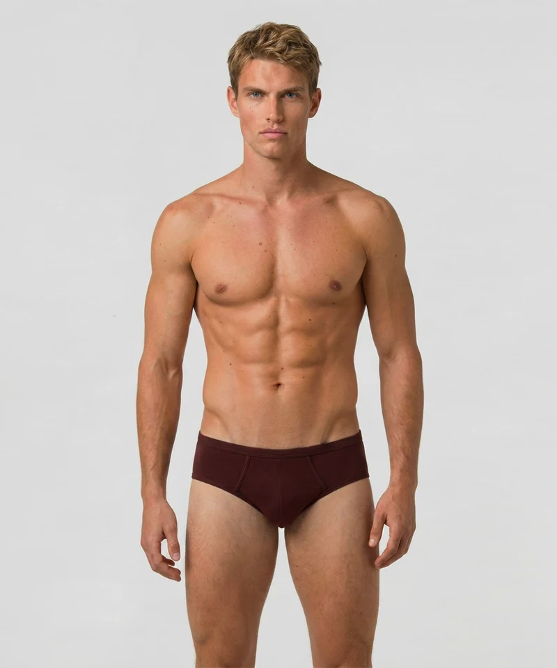 Y-Front Briefs: Bordeaux