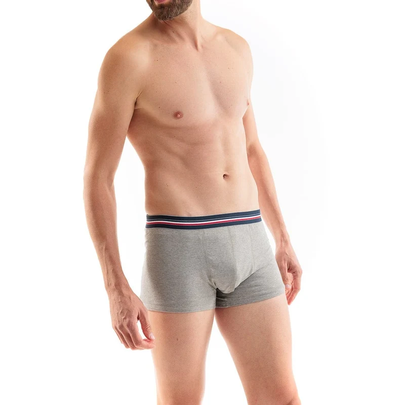 Boxer français gris