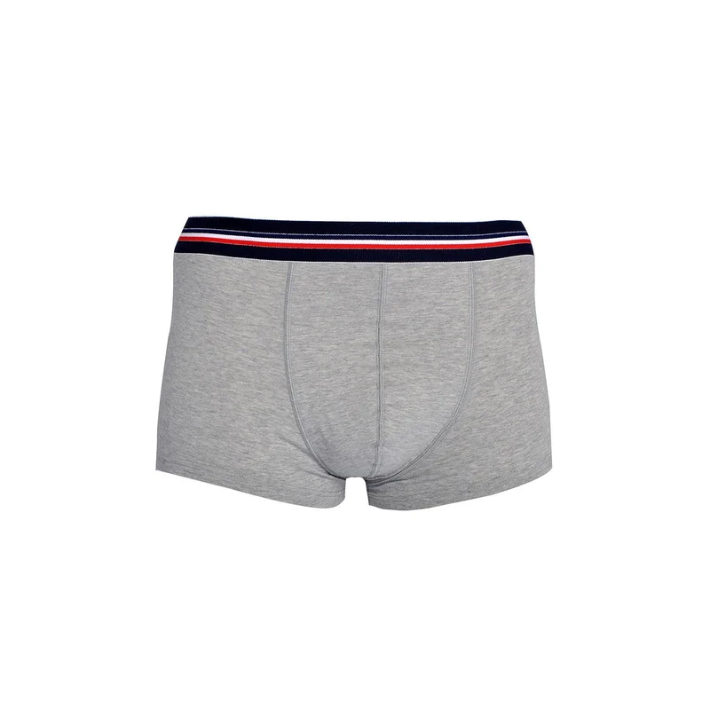 Boxer français gris