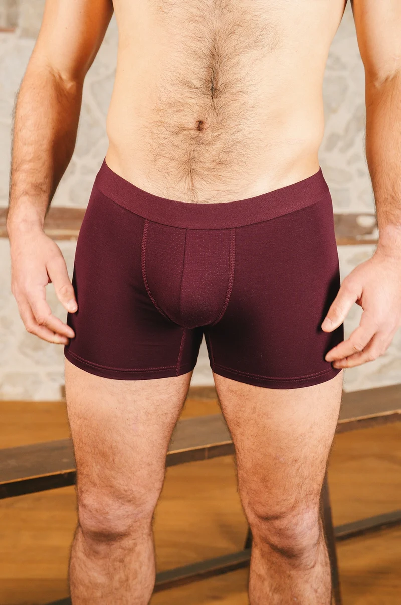 Boxer Sport 3è génération