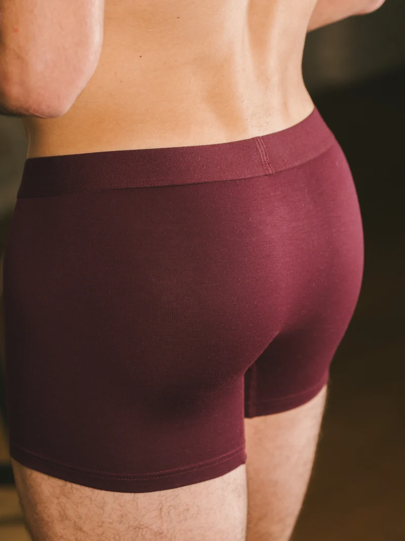 Boxer Sport 3è génération