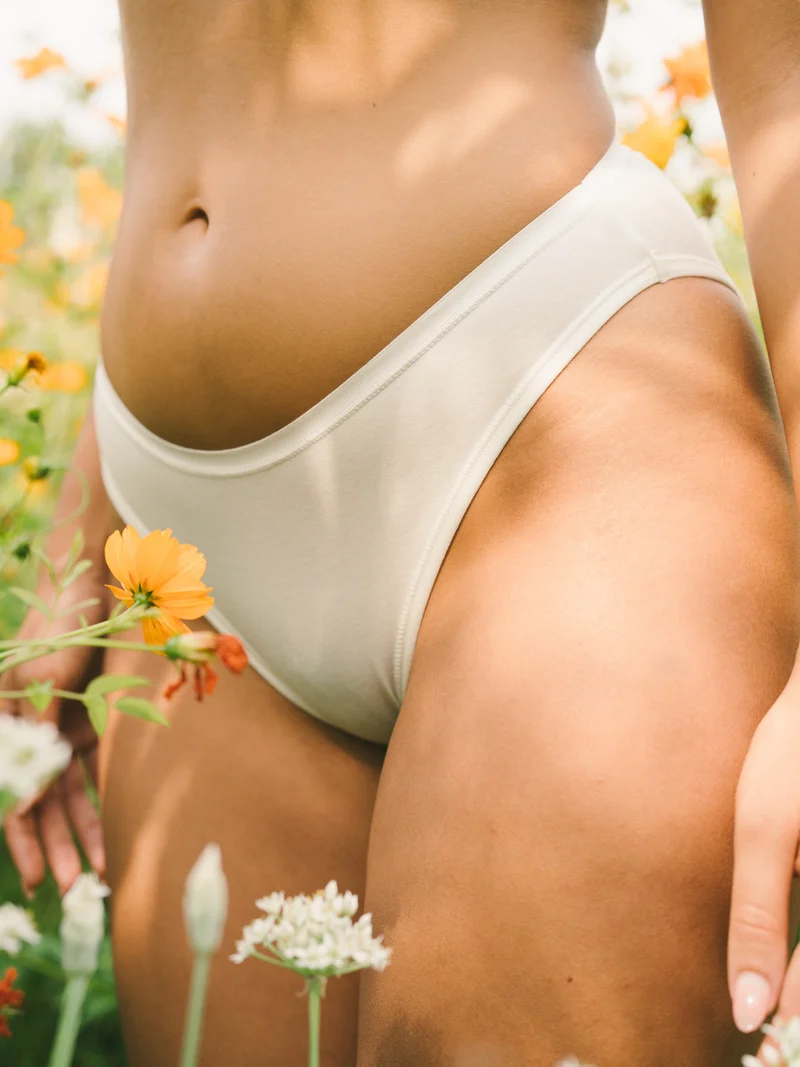 Culotte échancrée