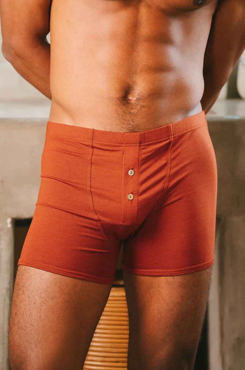 Boxer Héritage