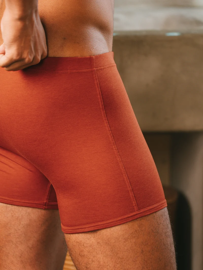 Boxer Héritage