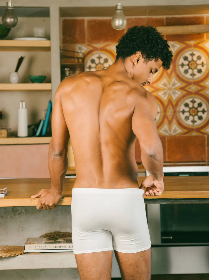 Boxer Héritage