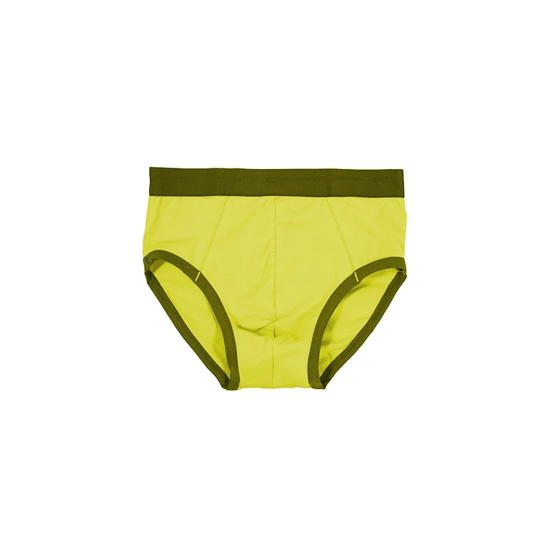 Snug Fit Briefs