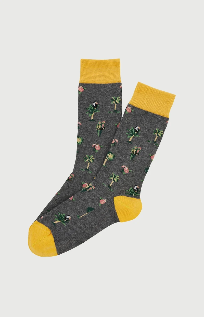 Chaussettes en coton - Perroquet Gris