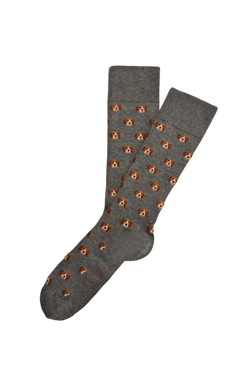 Chaussettes en coton - Copain