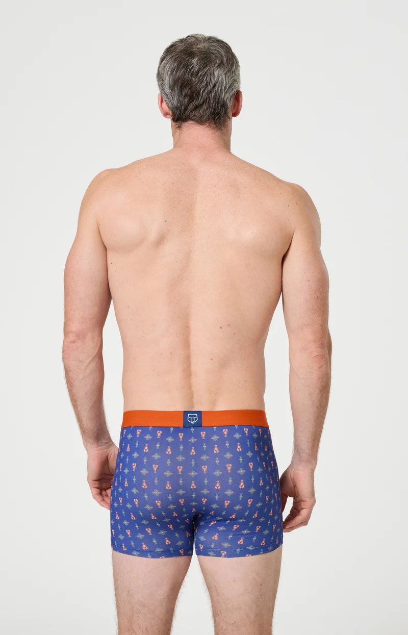 Boxer en jersey de coton - Pince sans rire