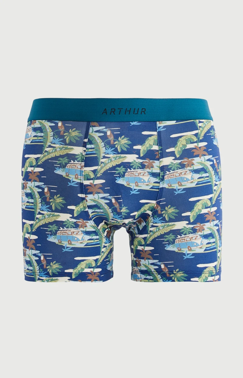 Boxer en jersey de coton - Van Life
