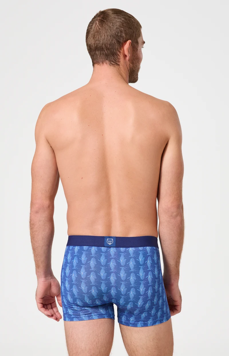 Boxer en jersey de coton - Pacifique