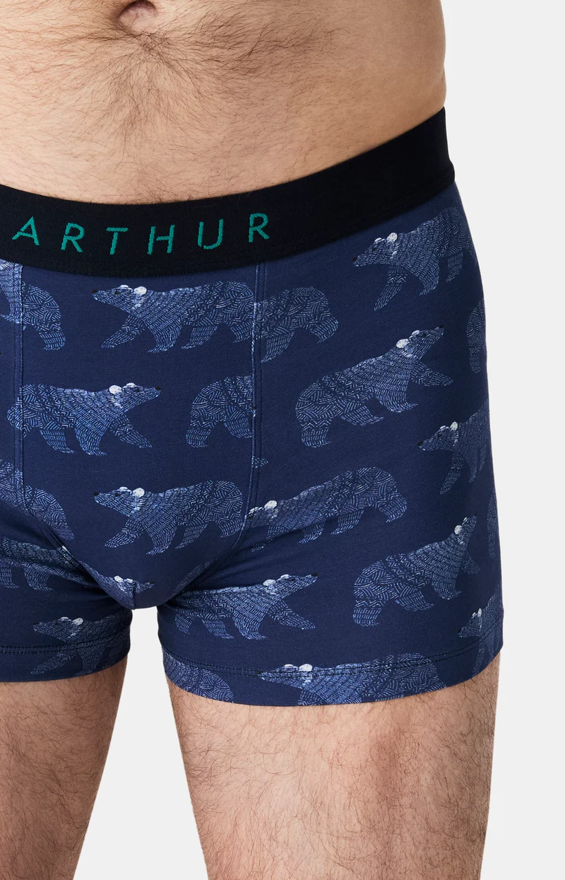 Boxer en jersey de coton - Nuit Polaire