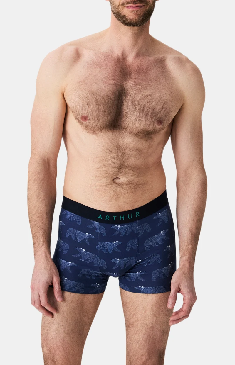 Boxer en jersey de coton - Nuit Polaire