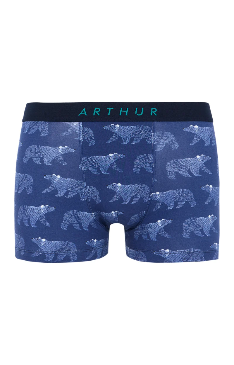 Boxer en jersey de coton - Nuit Polaire