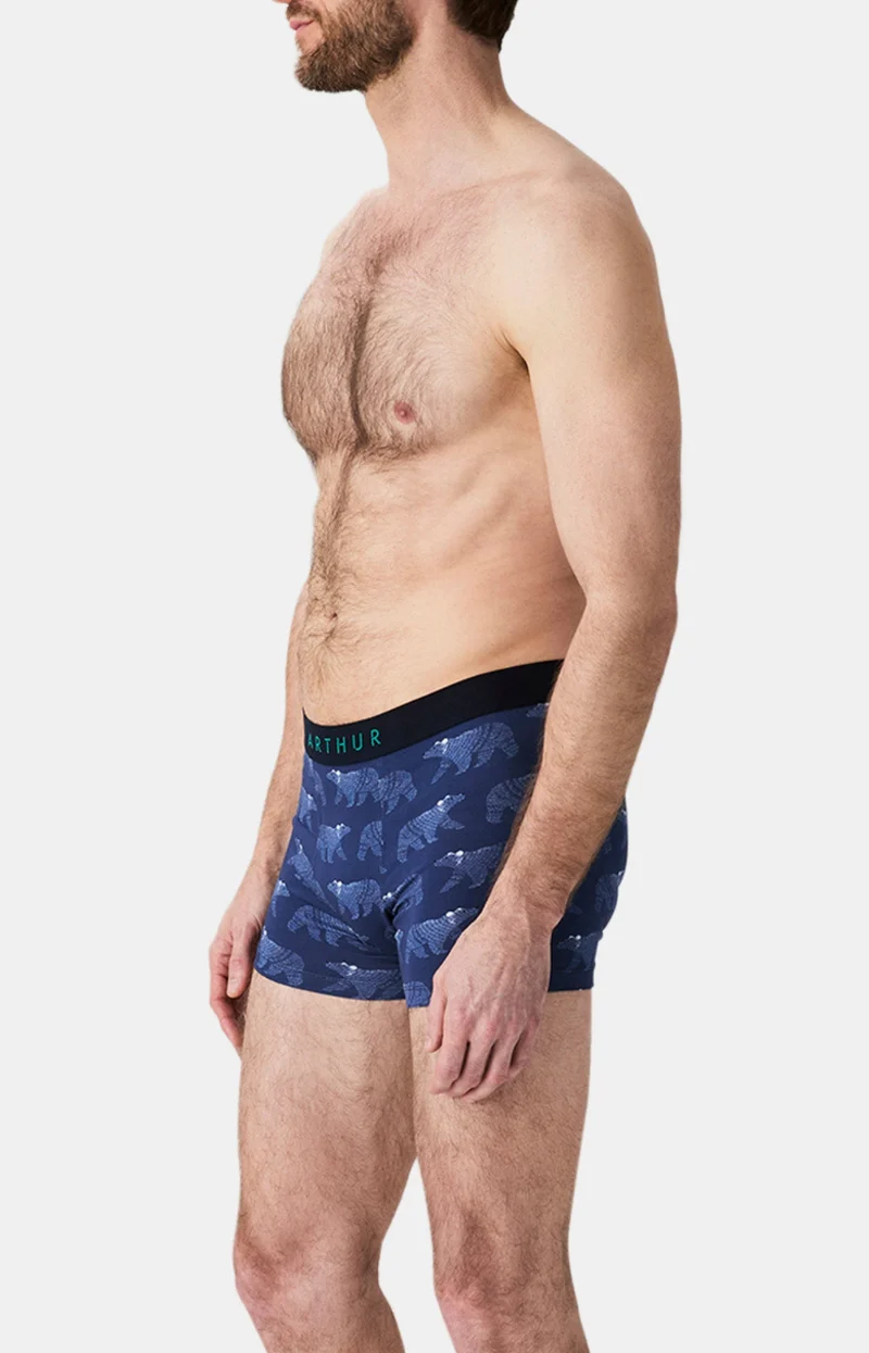 Boxer en jersey de coton - Nuit Polaire