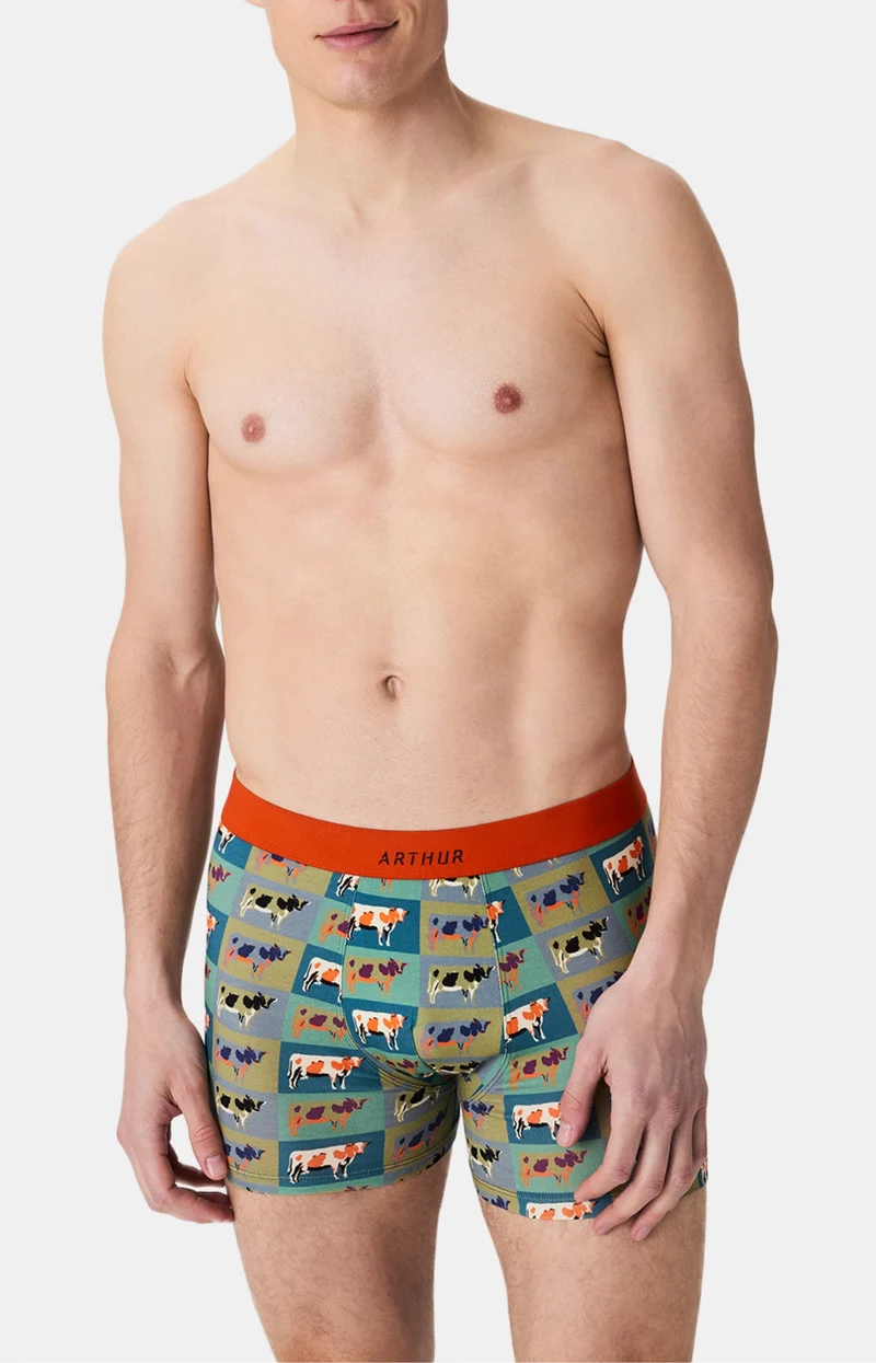Boxer en jersey de coton - Pop Vache