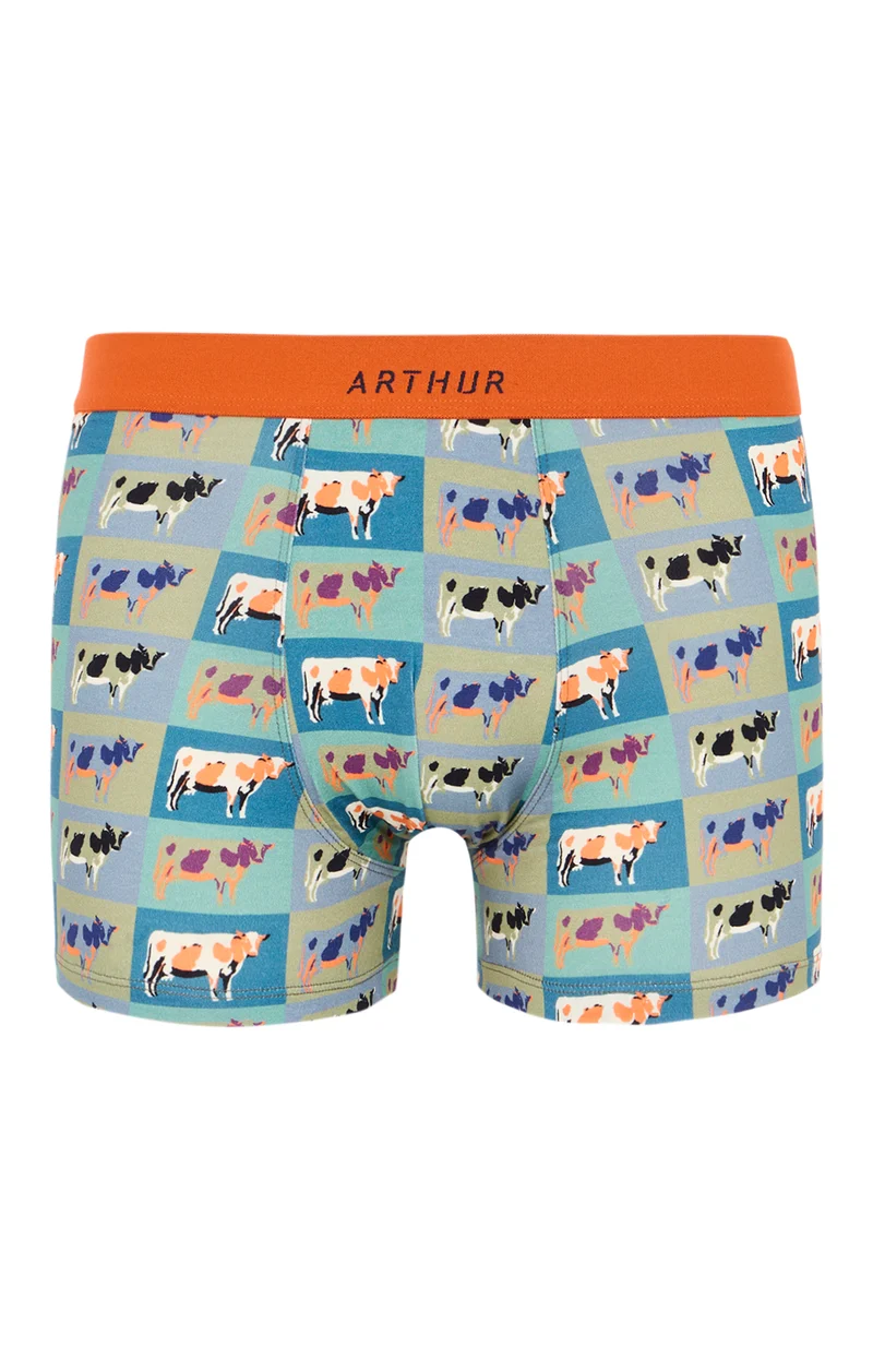 Boxer en jersey de coton - Pop Vache