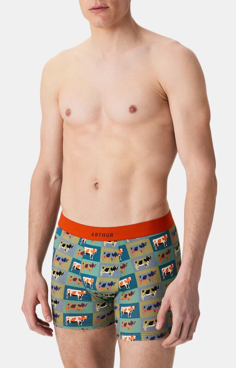 Boxer en jersey de coton - Pop Vache
