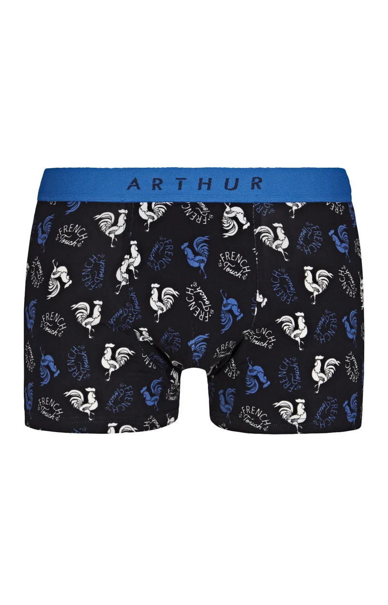 Boxer - Coq