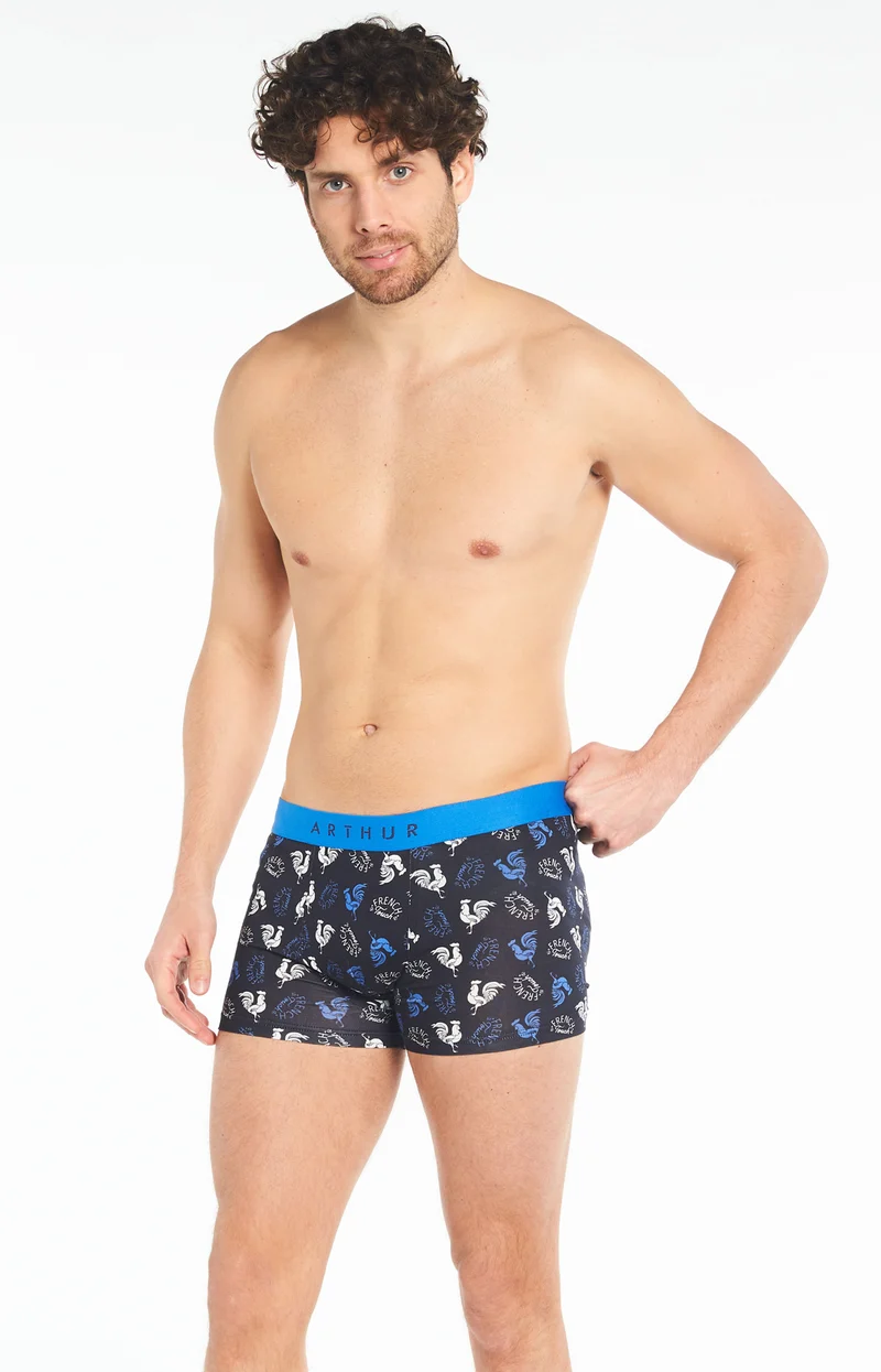 Boxer - Coq
