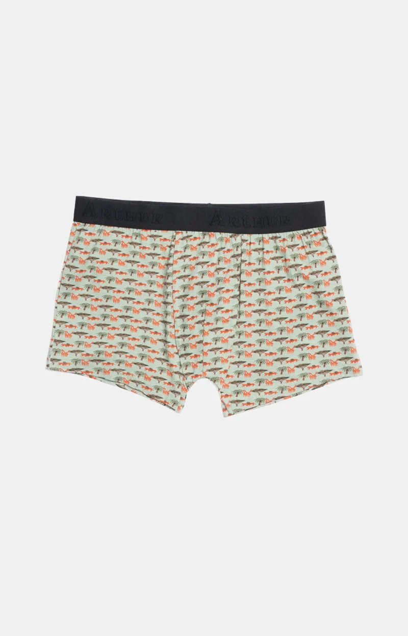 Boxer en jersey de coton - Savane Vert