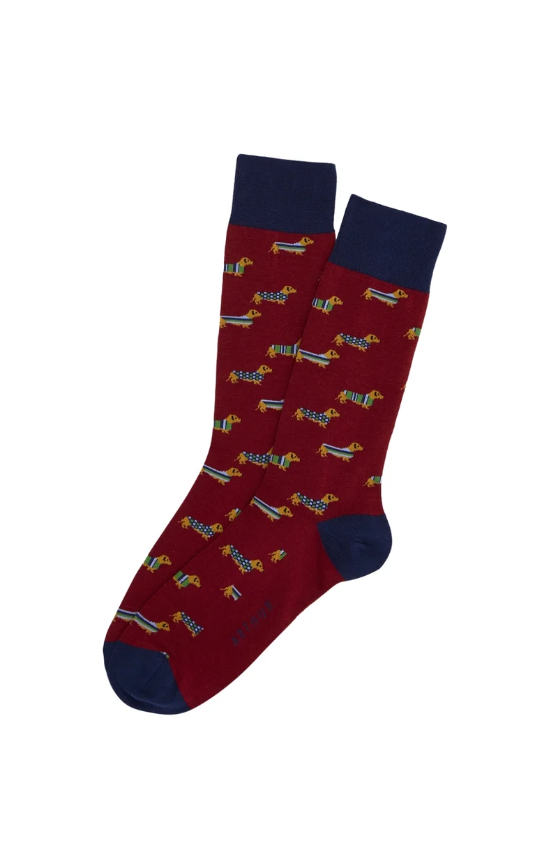 Chaussettes en coton - Teckel Bordeaux