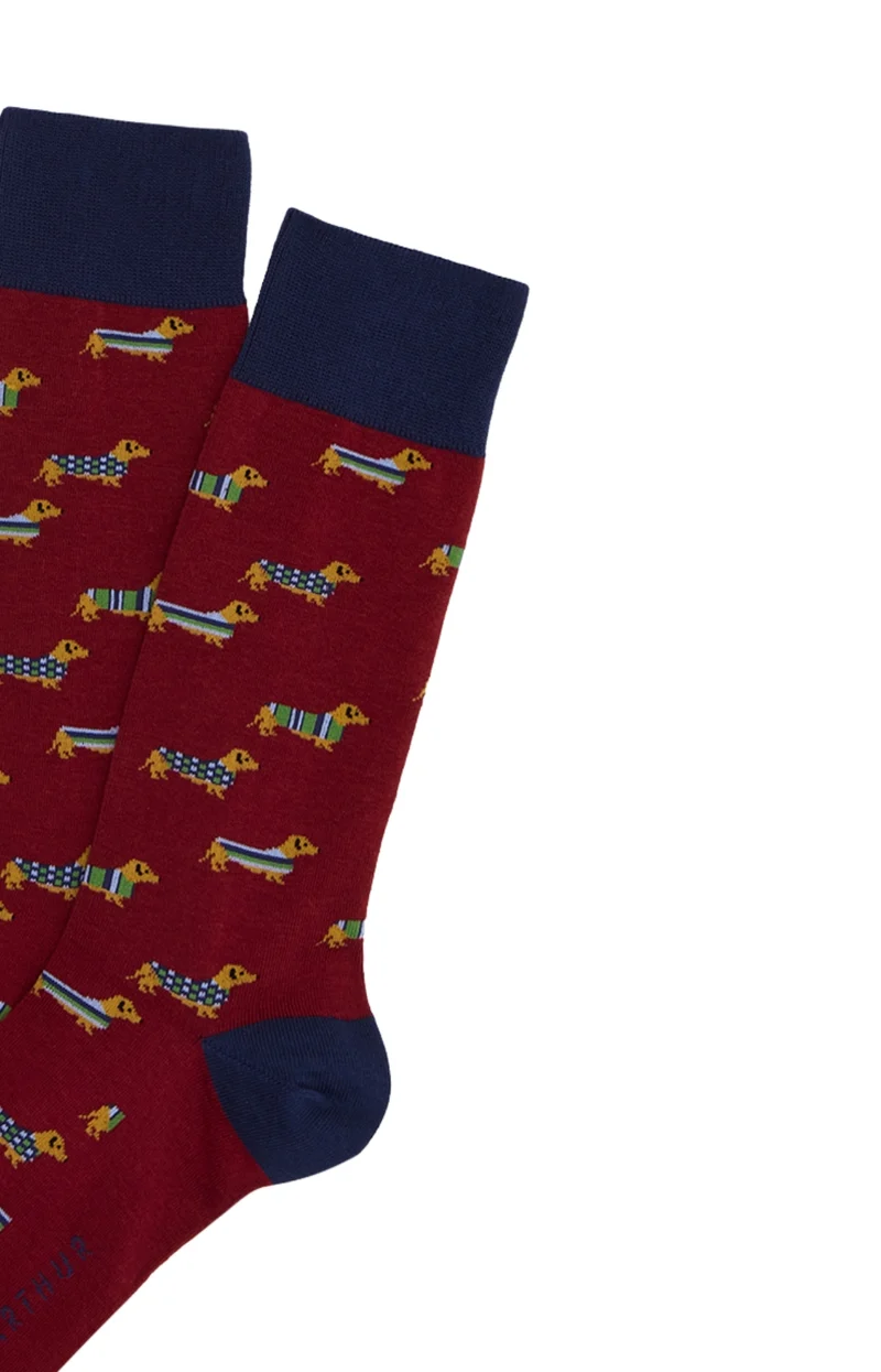 Chaussettes en coton - Teckel Bordeaux