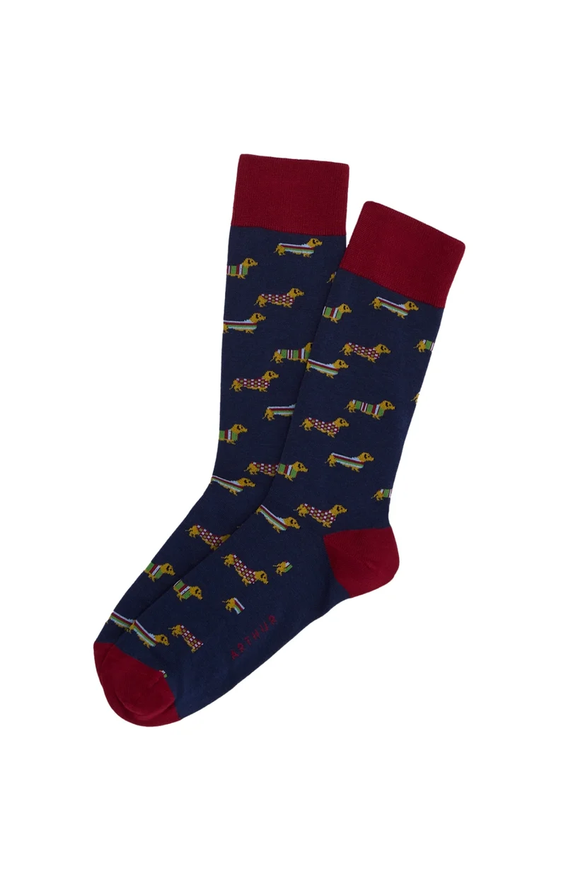 Chaussettes en coton - Teckel Marine