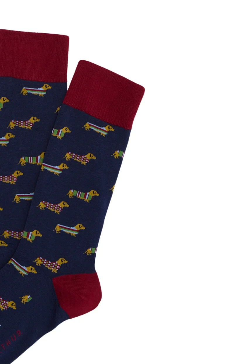 Chaussettes en coton - Teckel Marine
