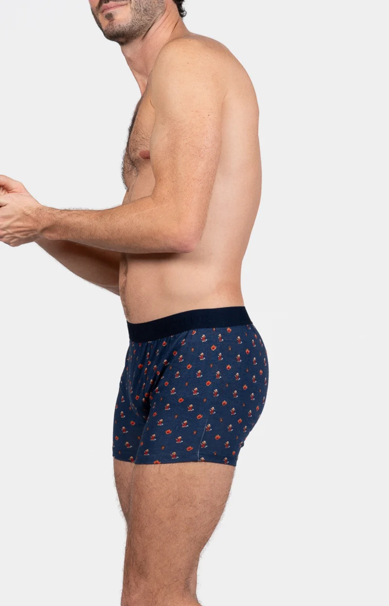 Boxer - Pompier