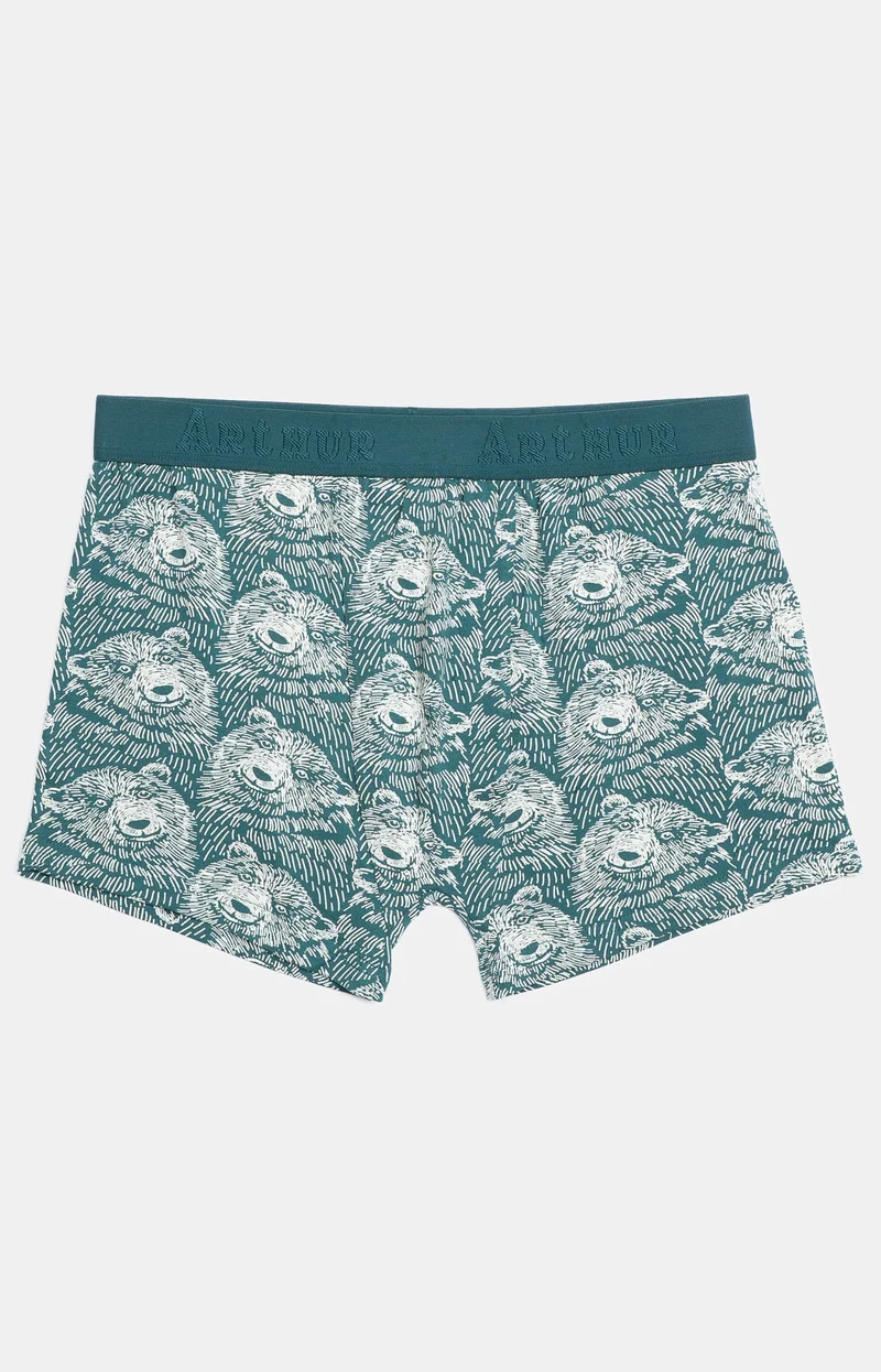 Boxer - Ours des montagnes
