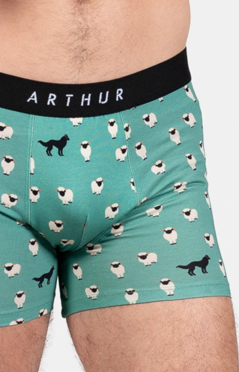 Boxer - Mouton Vert