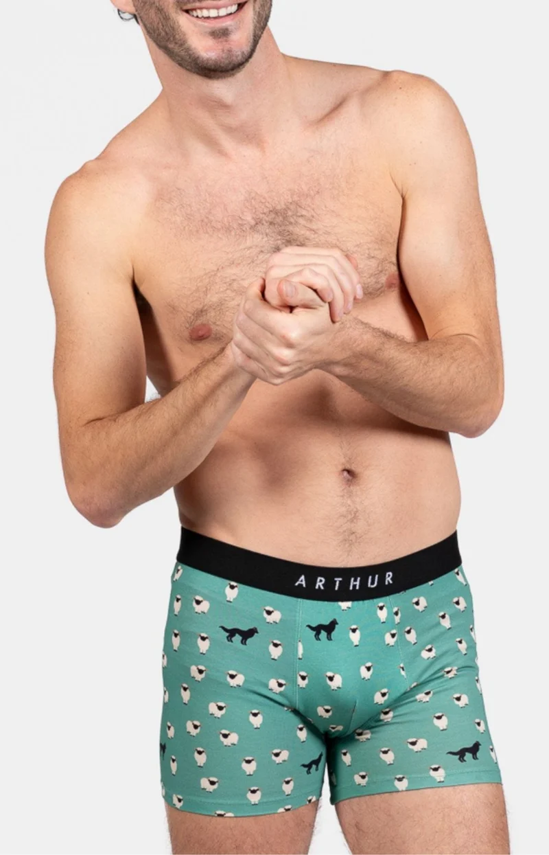 Boxer - Mouton Vert