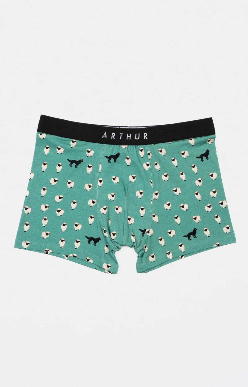 Boxer - Mouton Vert