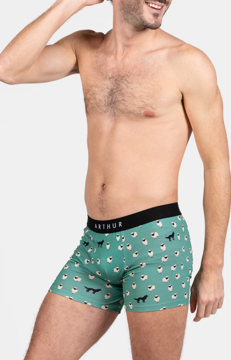 Boxer - Mouton Vert