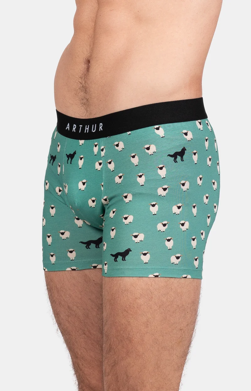 Boxer - Mouton Vert