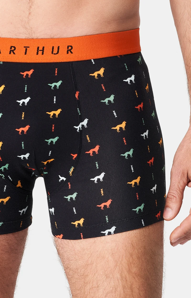 Boxer - Jeune loup