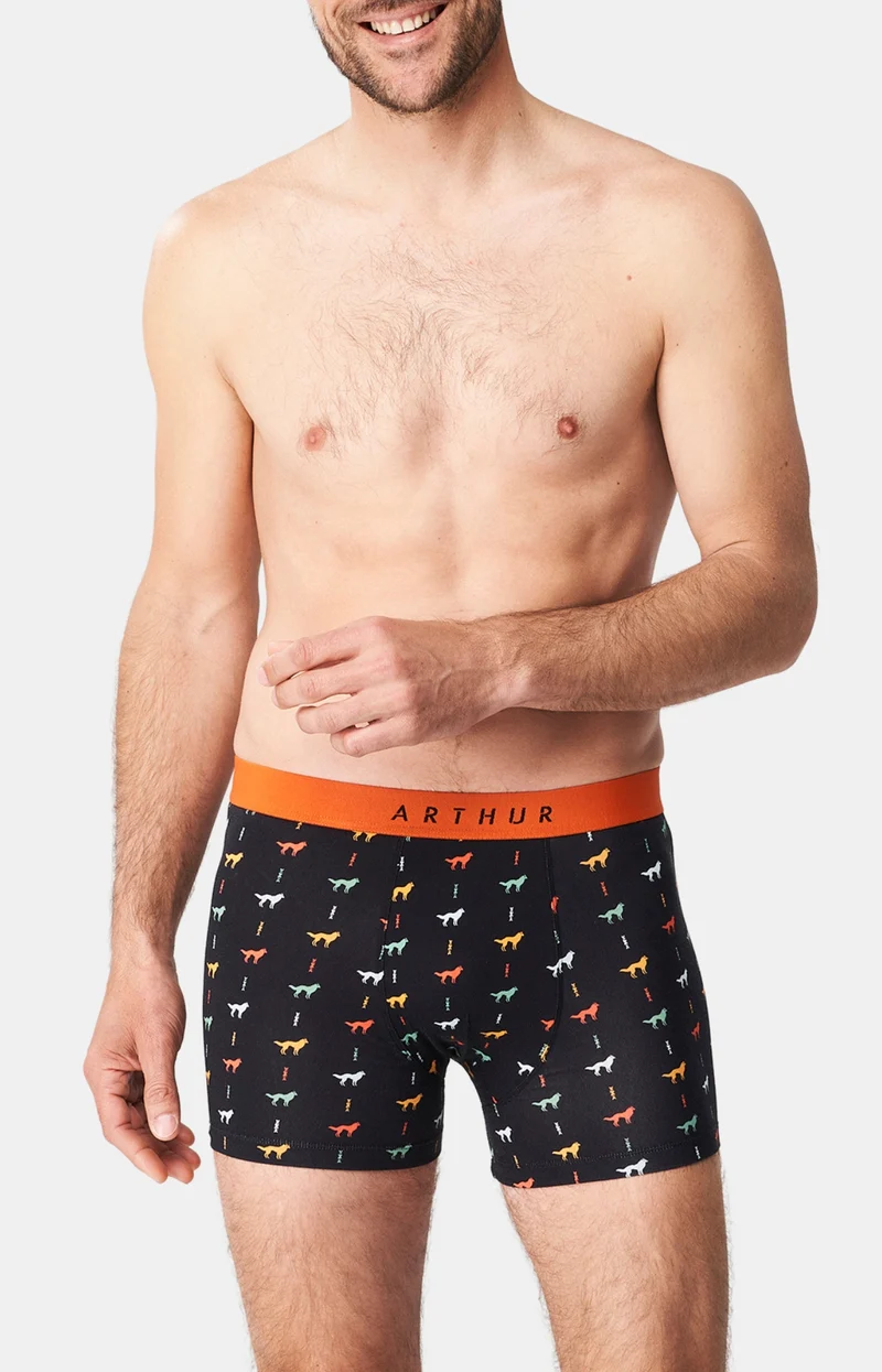 Boxer - Jeune loup