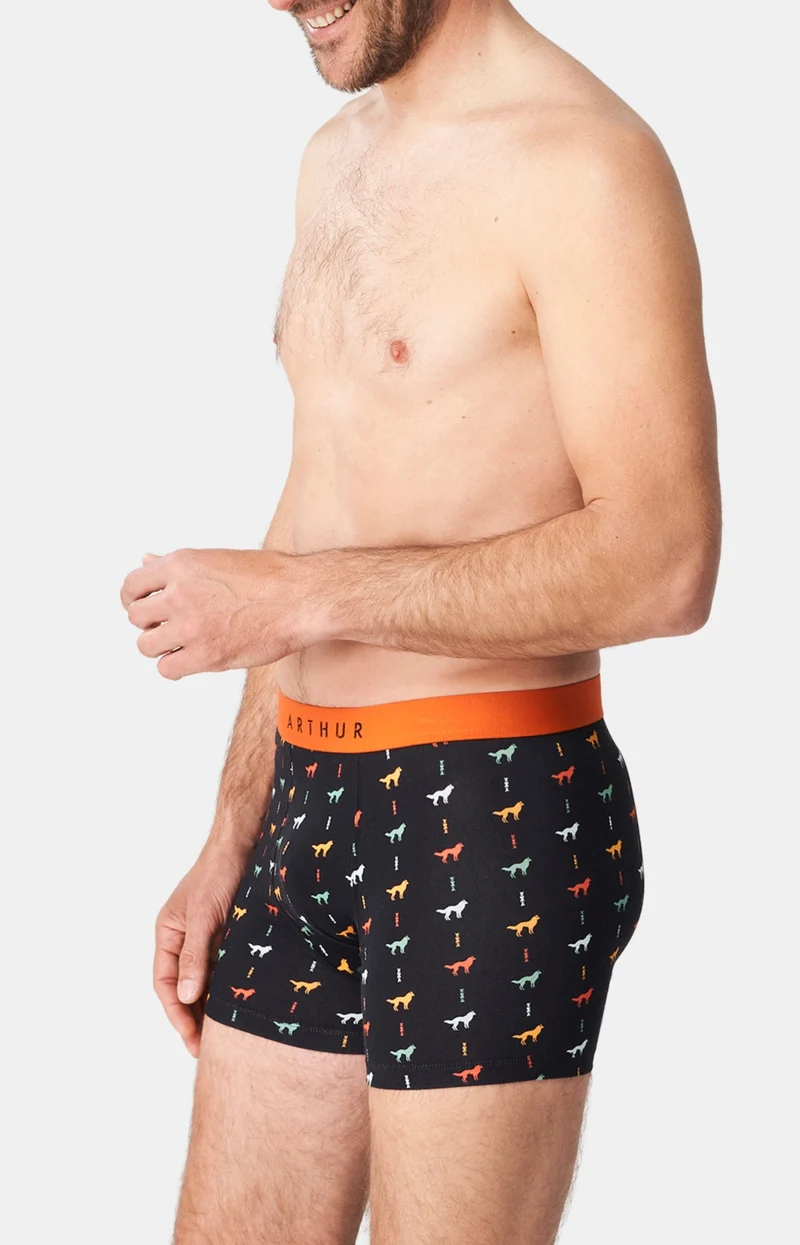 Boxer - Jeune loup